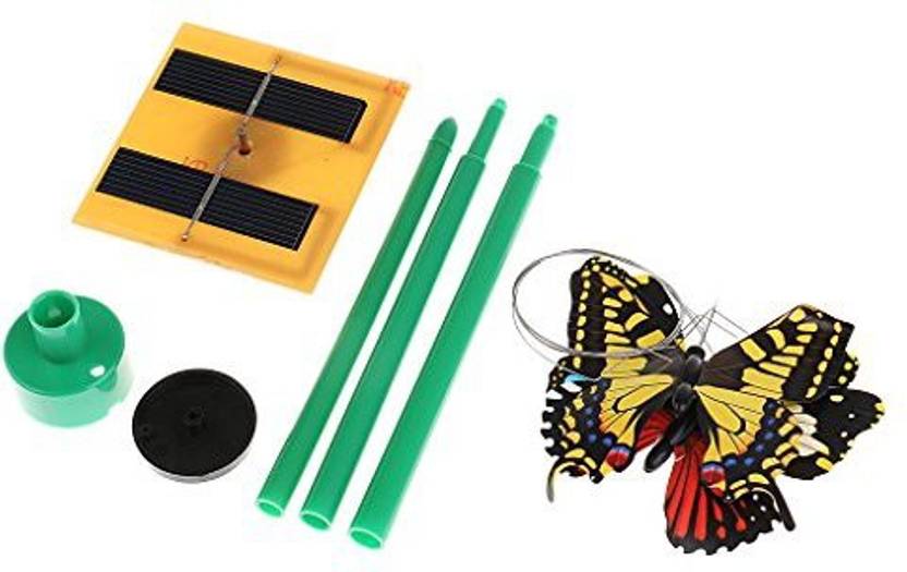 luthfiannisahay: Butterfly Iq Price In India