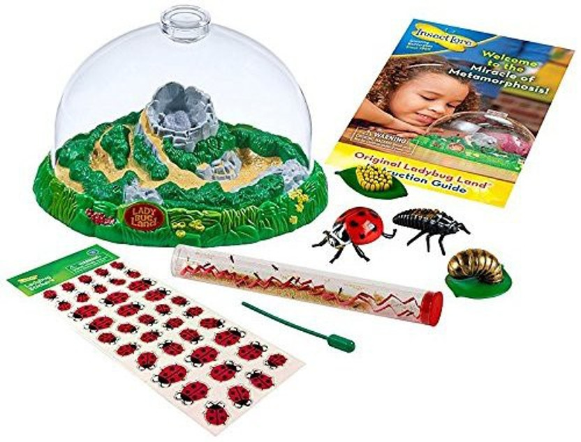 Insect Lore Bug Land Habitat