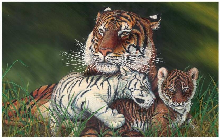 roar tiger poster tiger