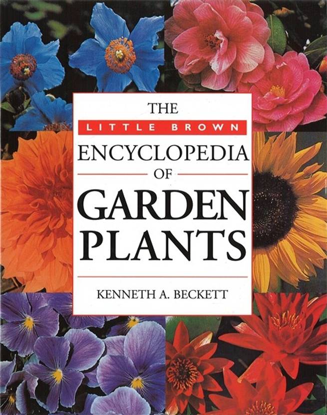 Encyclopedia Of Garden Plants Handbook Buy Encyclopedia Of Garden Plants Handbook by Beckett