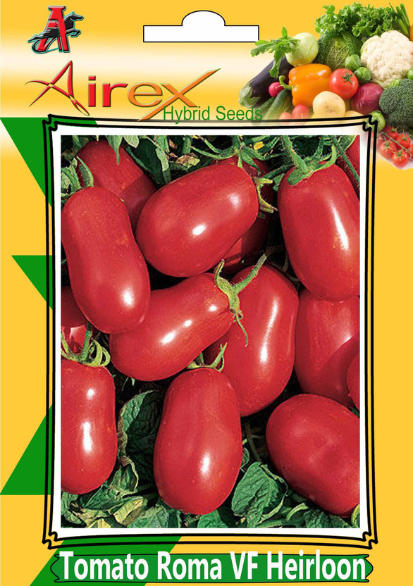 TOMATO BEST TOMATO SEEDS ROMA VF 450 SEEDS VEGETABLE