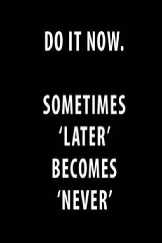 AOVP0225 Do It Now Sometimes Later Never Motivational Poster
