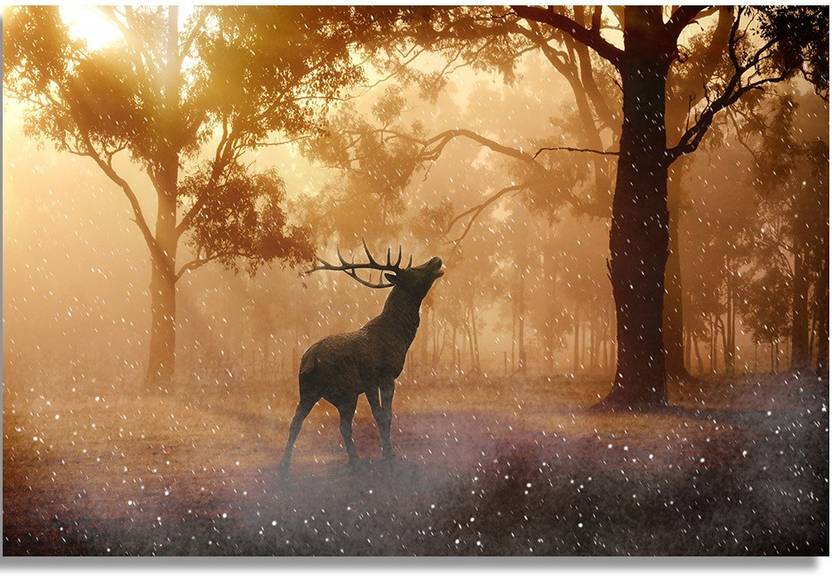 Fallow Deer Autumn Paper Print Animals Nature Posters In