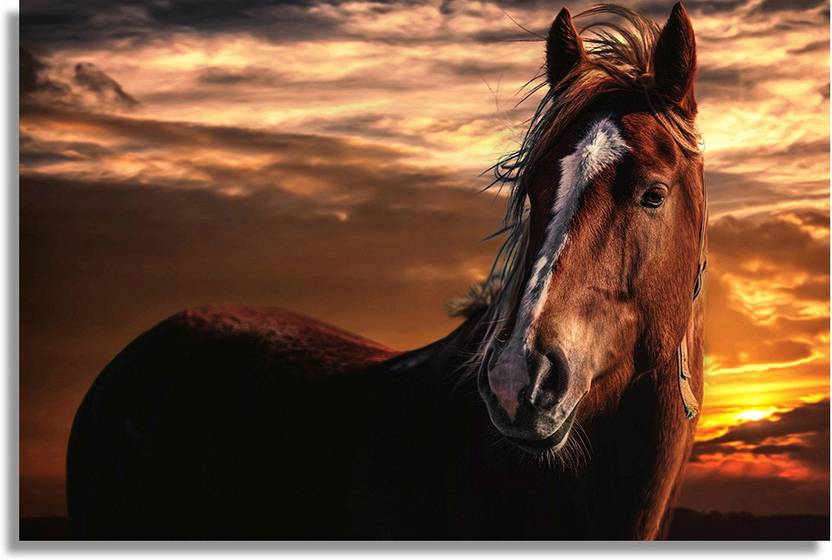Brown Horse With White Stripe On Face Paper Print Animals
