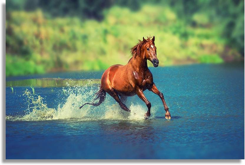 Horse 27 Paper Print Animals Nature Posters In India