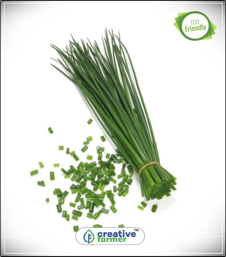 Creative Farmer Chives Indoor Kitchen Garden Herb Seeds For Creative Farmer Chives Indoor Kitchen Garden Herb Seeds For Home Plant