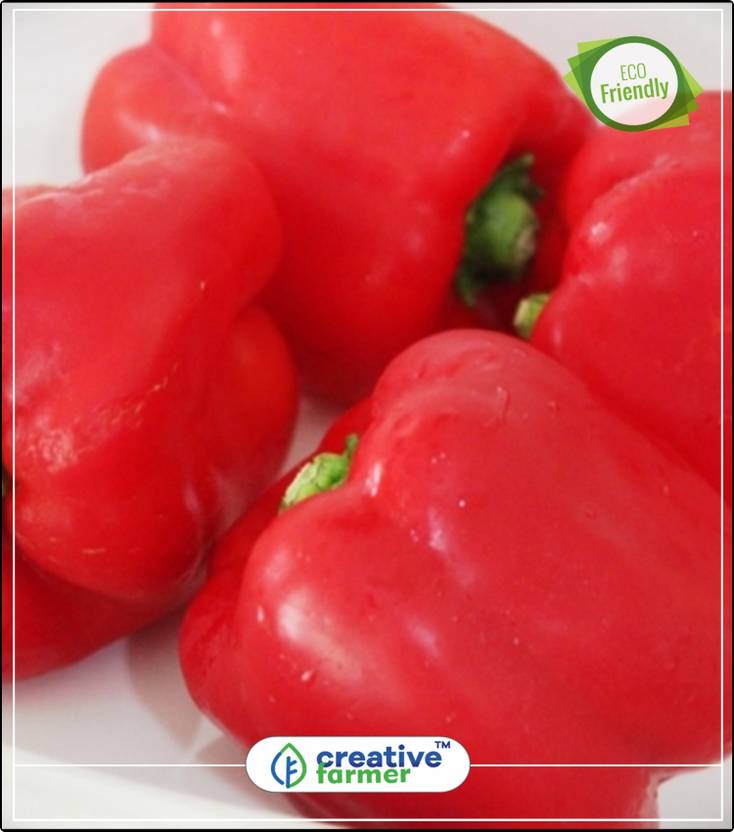 Creative Farmer Red Colour Capsicum Ornamental Vegetable Seeds