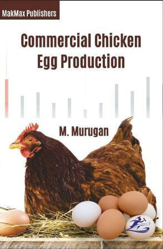 commercial chicken egg production buy commercial chicken egg chicken egg production