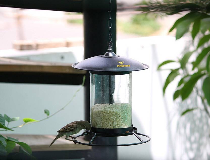 Generic Squirrel Proof Feeders Bird Feeder Price In India Buy