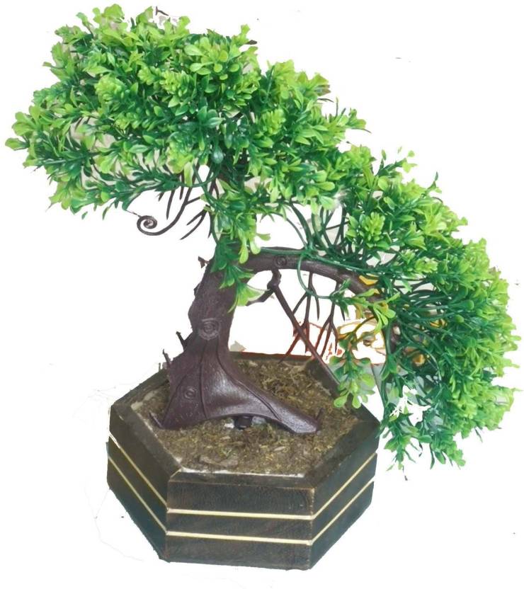 Kaykon Decorative Artificial Bonsai Plant Wild Tree For Indoor Decoration With Wooden Pot Natural Looking Bonsai Plant Superb Quality On Flipkart