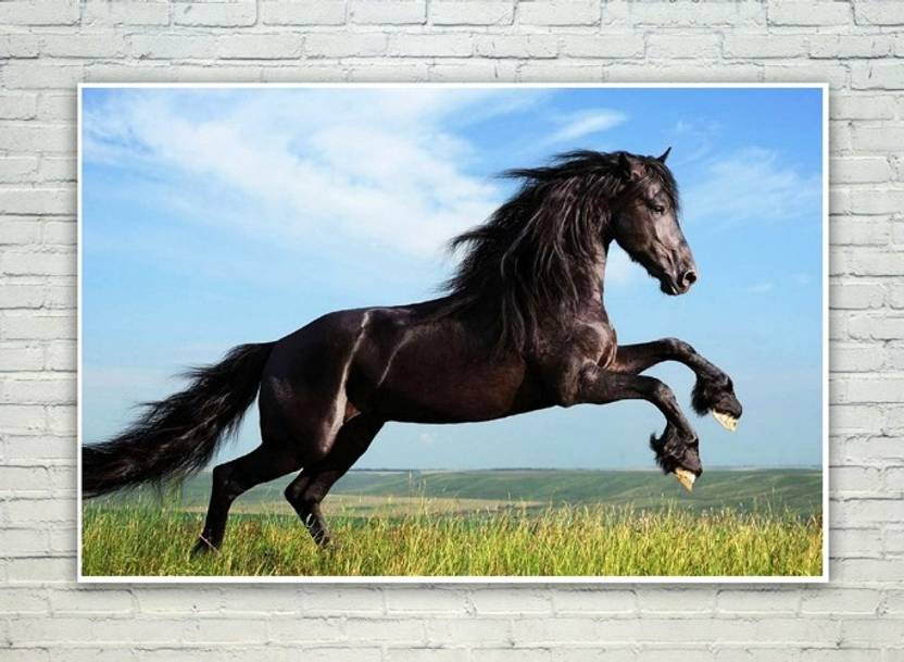 Posterskart Black Horse Jumping Wall Poster Paper Print Art