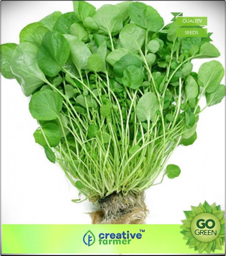 Creative Farmer Cress Seeds Halim Sak Seed Price In India Buy