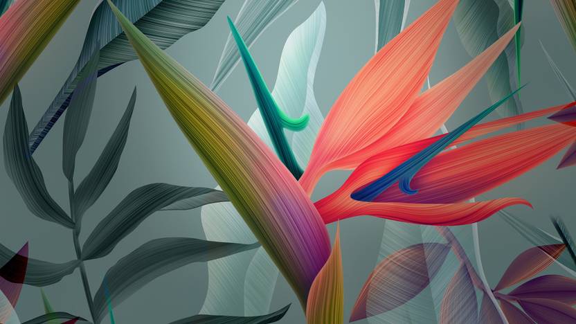 Abstract Flowers Wall Decor Poster 3d Poster Total Home