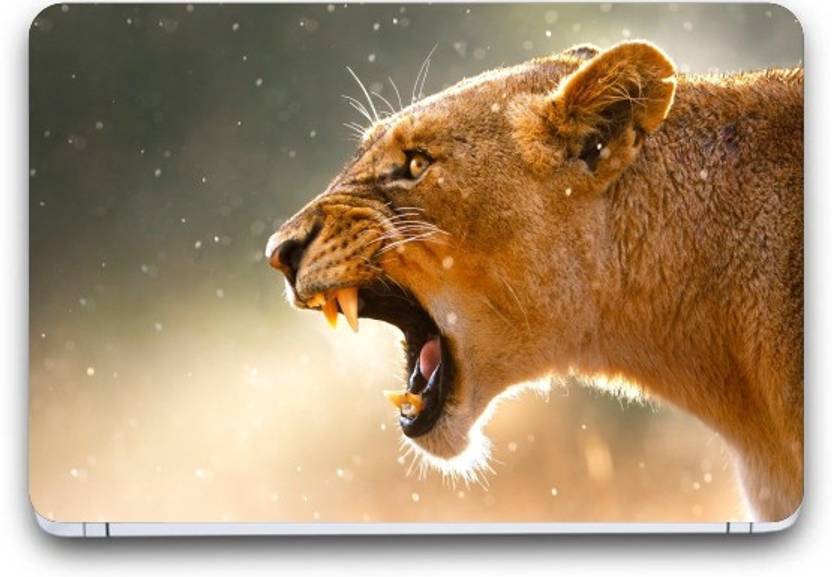 Gallery 83 Tiger Wallpaper Wallpaper Laptop Skin Sticker Decal