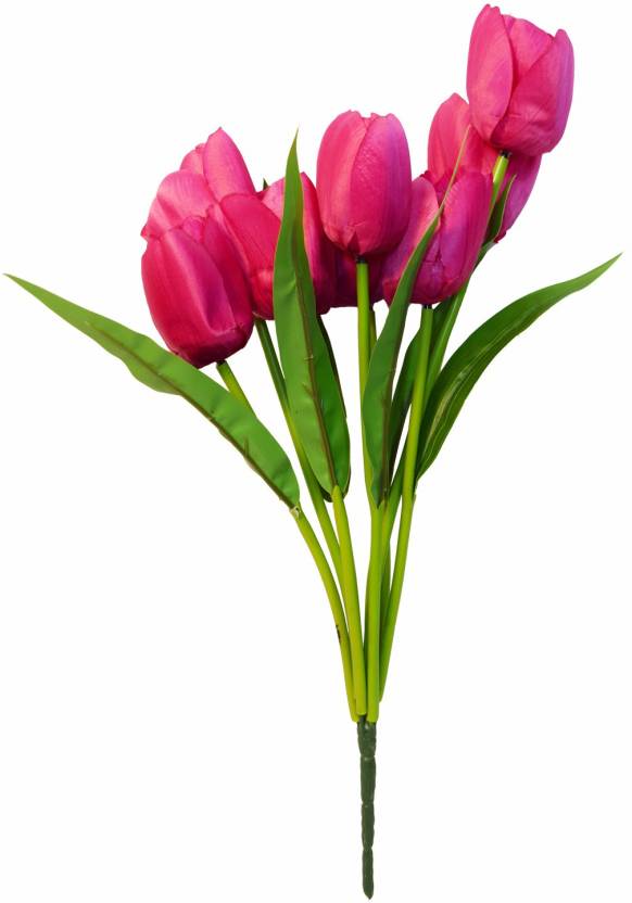 Tulip Flower Bouquet Images