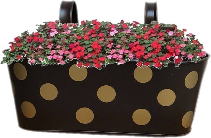 Decorate India Decorate India Gardening Railing Balcony Planter