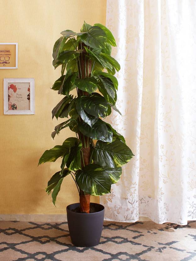 Fourwalls Artificial Money Plant Without Pot 150 Cm Tall Green - 