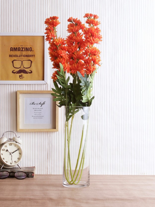 Medium Green Square Transparent Home Office Desk Orchid Flower Pot
