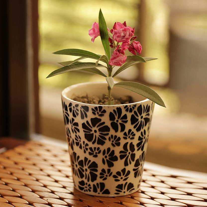 Exclusivelane Handmade Garden Decorative Flower Pattern Designer