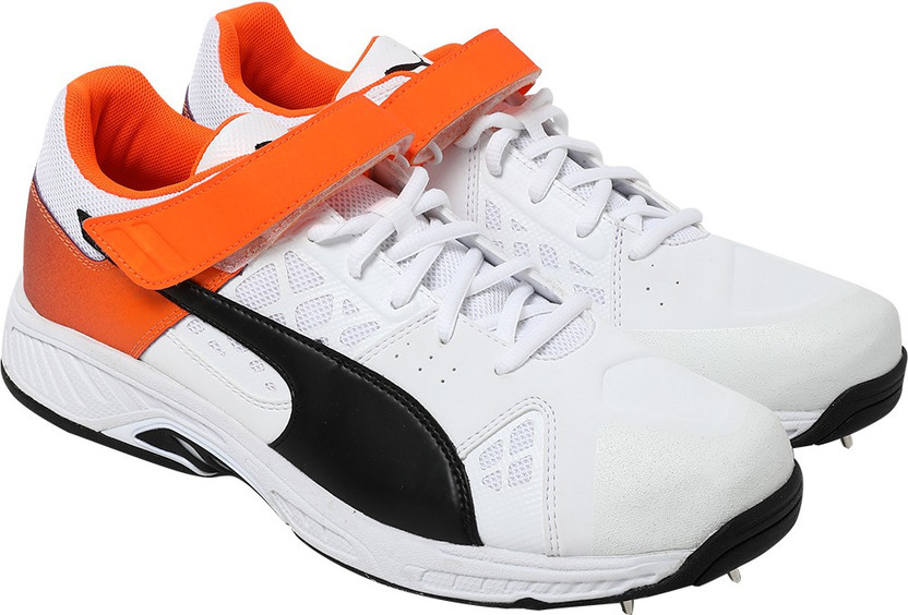 puma evospeed 18.1 cricket shoes