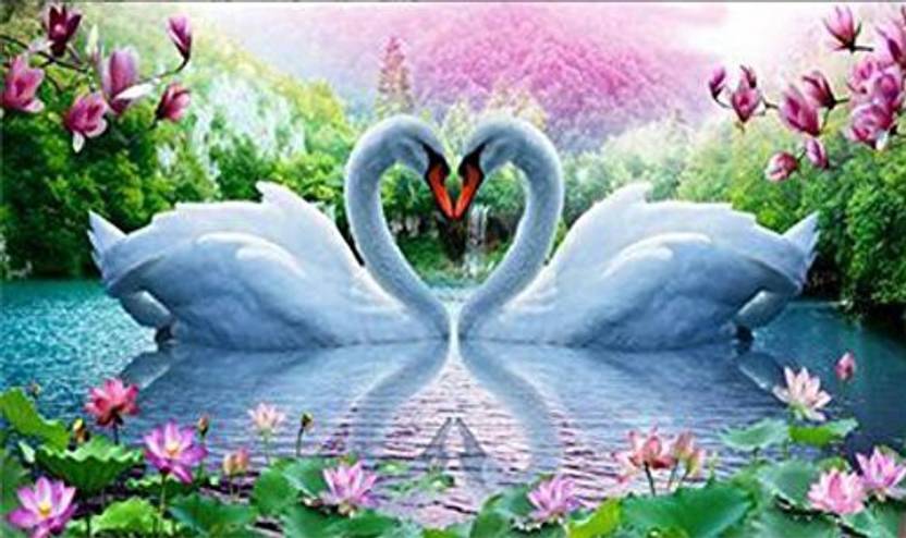 Yeesam Art New 5d Diamond Painting Kit Swan Fall In Love