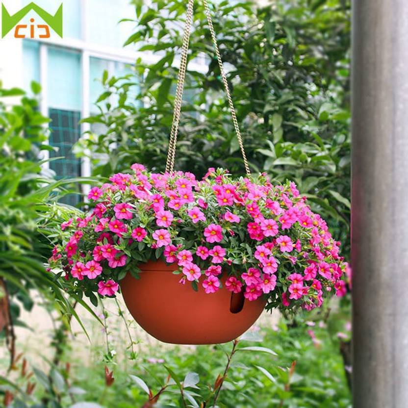 Airex Hanging Planter Flower Pot Plant Container Set