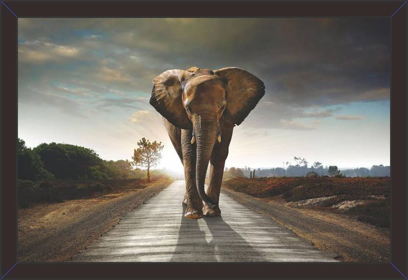Mad Masters Mad Masters Elephant Roads Sunrise And Sunset