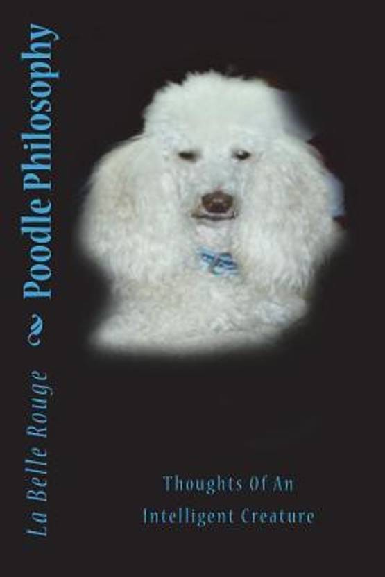 Toy Poodle Breeders In India | Wow Blog