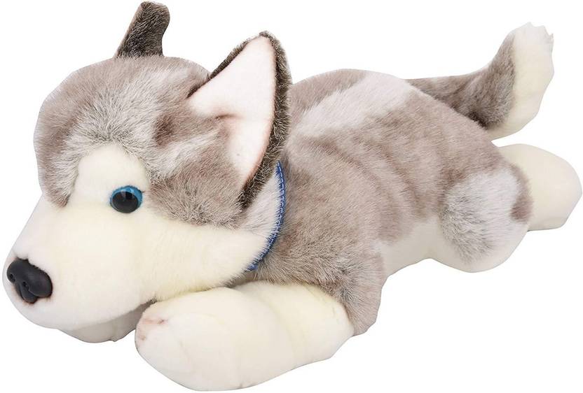 keel husky