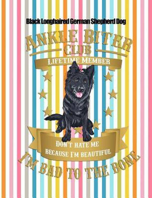Black Longhaired German Shepherd Dog Buy Black Longhaired German
