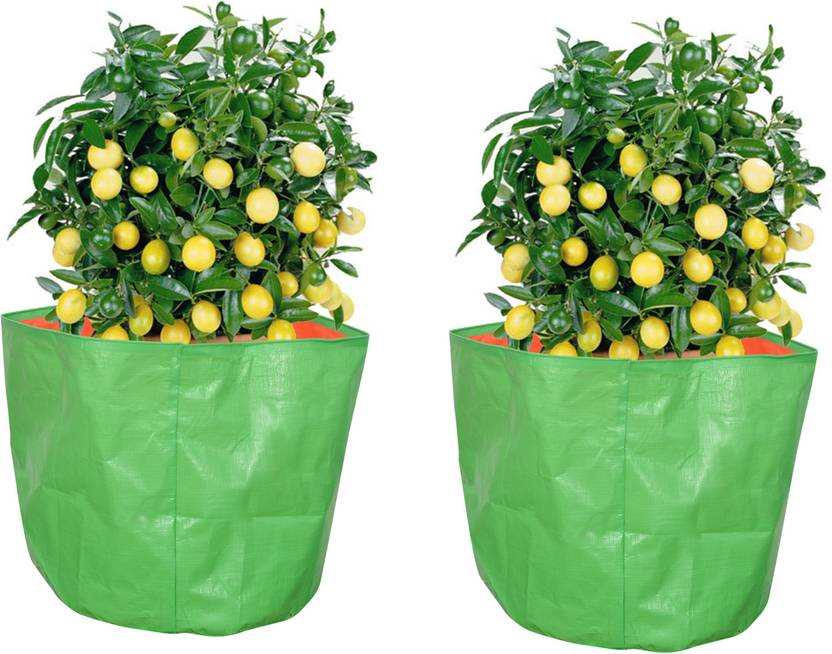 Coirgarden Terrace Gardening Hdpe Grow Bags For Vegetable Plants