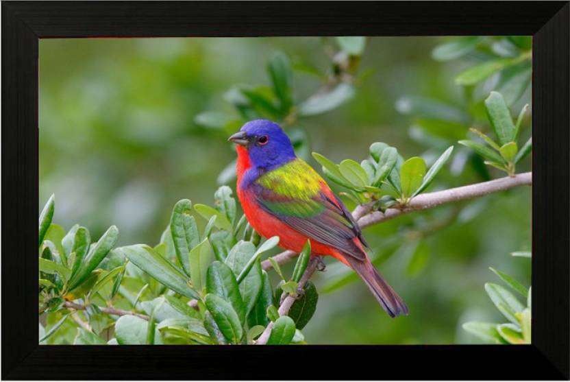 Pintura Beautiful Birddesigner Painting Wall Decor Home Decor