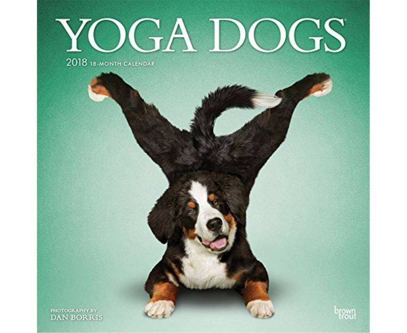 Yoga Dogs 2018 12 X 12 Inch Monthly Square Wall Calendar