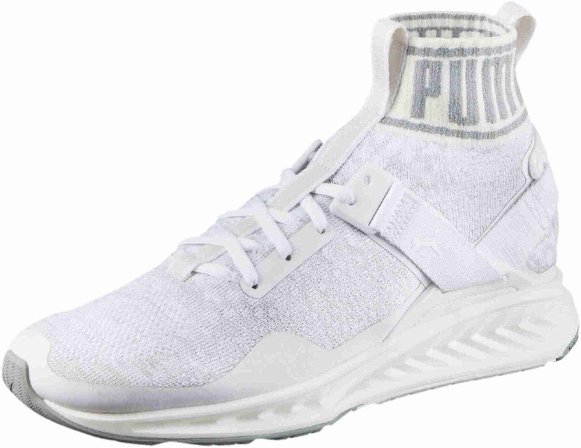 puma ignite evoknit price men