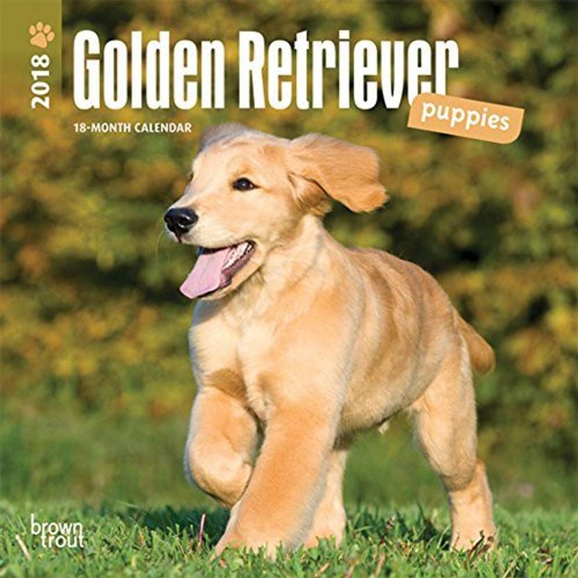 Golden Retriever Puppies 2018 7 X 7 Inch Monthly Mini Wall