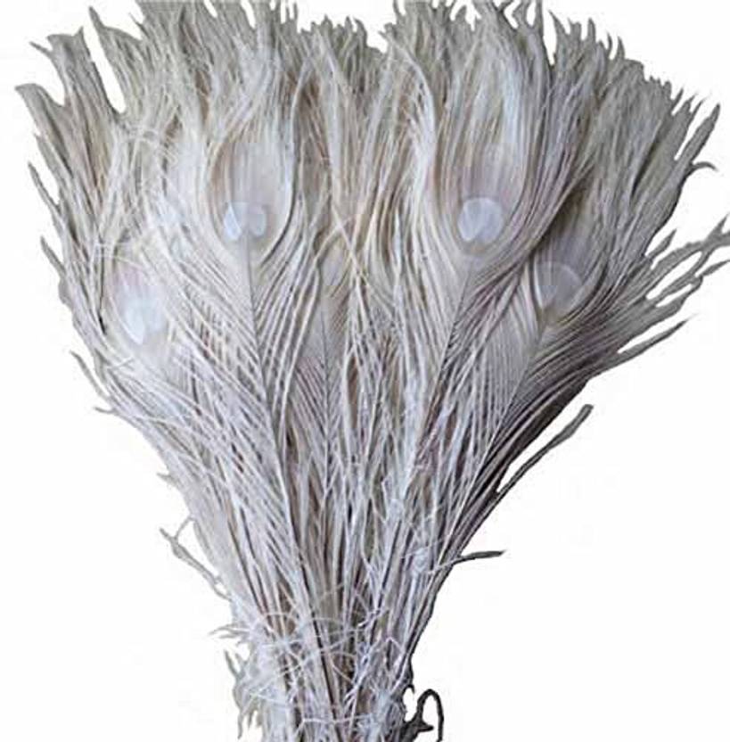 Kolight Fashion 10 12inch 25 30cm Natural Dyed Peacock Feathers