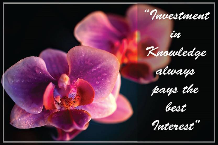 Purple Orchid Quotes Orchid Flowers