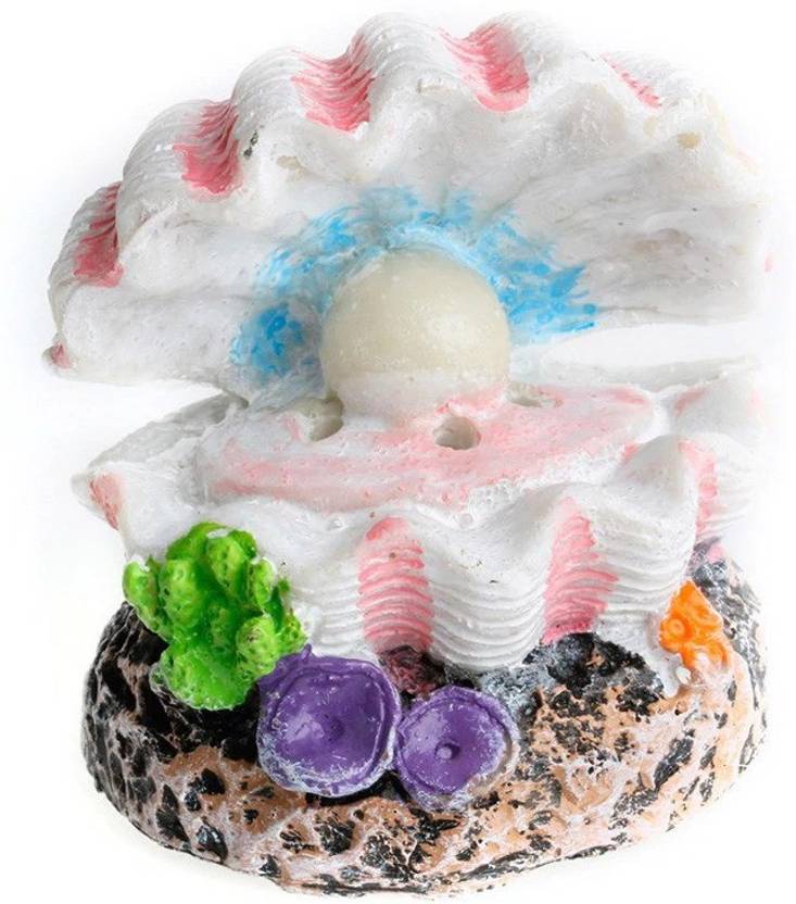 Daluci Shell Pearl Air Stone Aquarium Fish Tank Ornament Shell