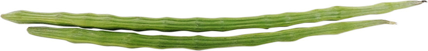 Organic Drumsticks(2 Units)