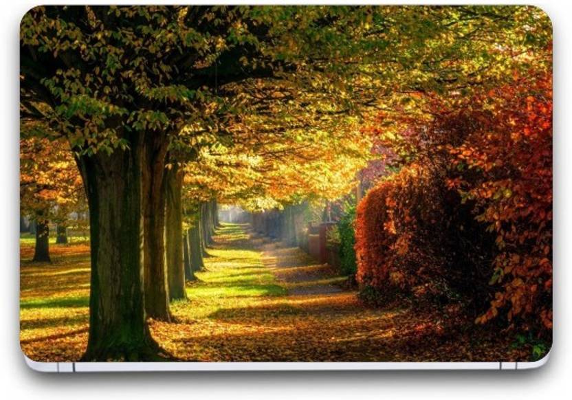 40 Gambar Wallpaper for Laptop Hd Quality Nature terbaru 2020 40 Gambar Wallpaper for Laptop Hd Quality Nature terbaru 2020