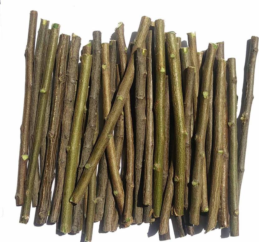 KAYKON Fresh Organic Neem Datun Chew Sticks Neem Twigs For Better Tooth