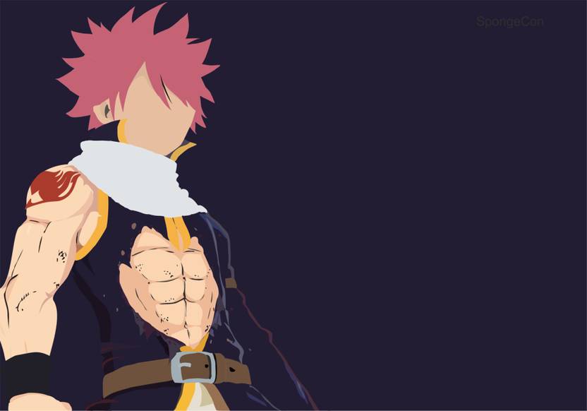 Athah Anime Fairy Tail Natsu Dragneel 13 19 Inches Wall