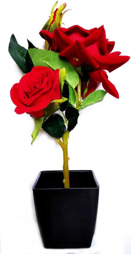 Bluebird Beautiful 3 In 1 Red Rose Bunch With Elegant Black Pot