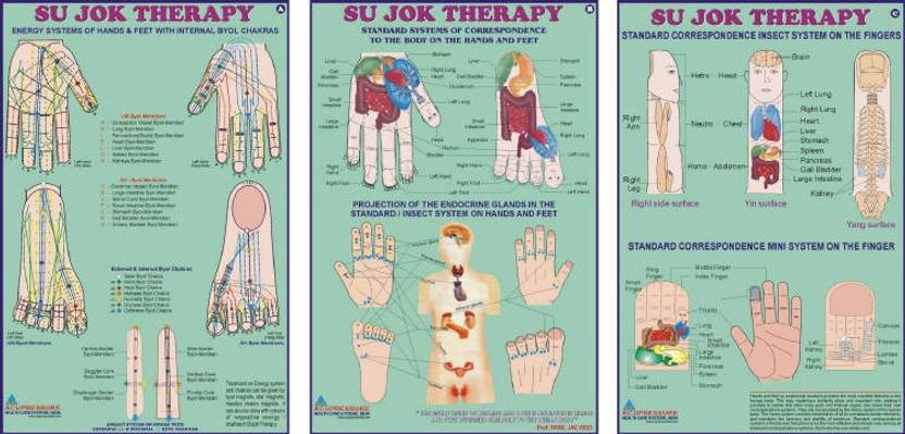 Sujok Therapy Chart-Set Of 3 Size 20"x30": Buy Sujok Therapy Chart-Set