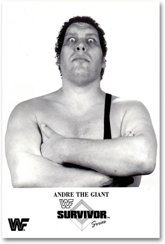 wrestling legend wall poster
