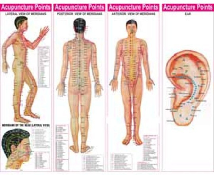 Acupuncture Points Chest Chart