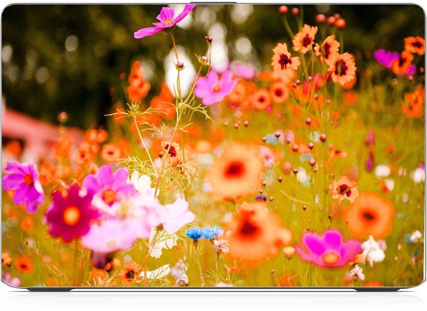 I Birds Nature Flower Wallpaper Exclusive High Quality
