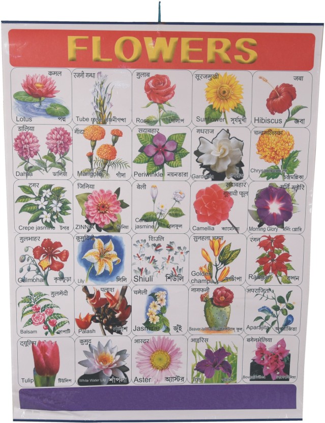 Chart Paper Flowers