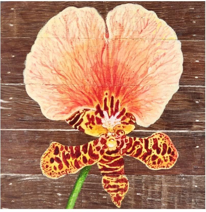 Tamara Artefacts Exquisite Wall Hanging Decor Art - Hanging Orchids On Walls Tamara Artefacts Exquisite Wall Hanging Decor Art - Hanging Orchids On Walls