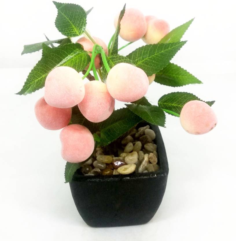Casadomani Flower For Home Office Flower Vase For Living Room